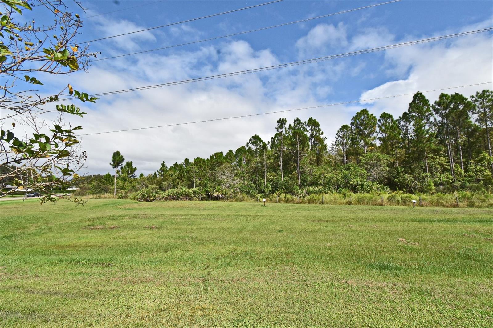 Image 37 of 48 For 12319 Turtle Grass Drive