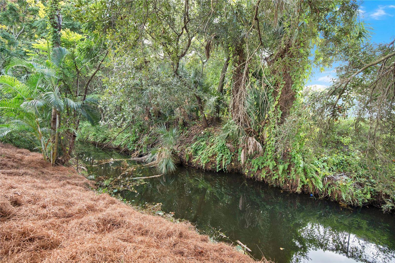 Image 30 of 41 For 316 Harbour Island Road