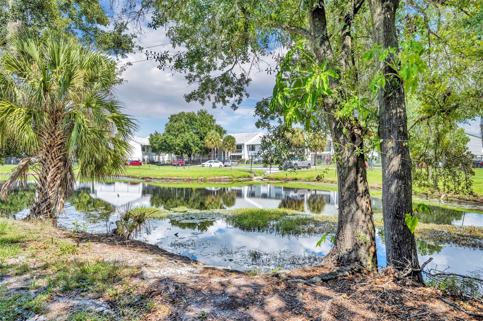 Image 26 of 27 For 5089 Eaglesmere Drive D09