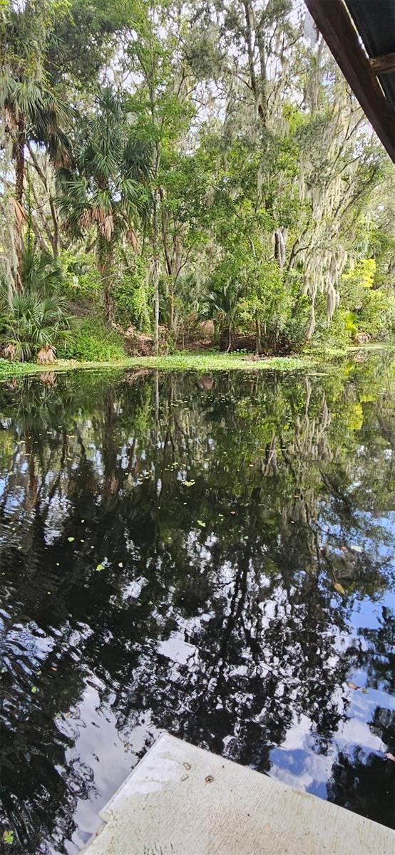 Image 40 of 43 For 4219 Magnolia Avenue