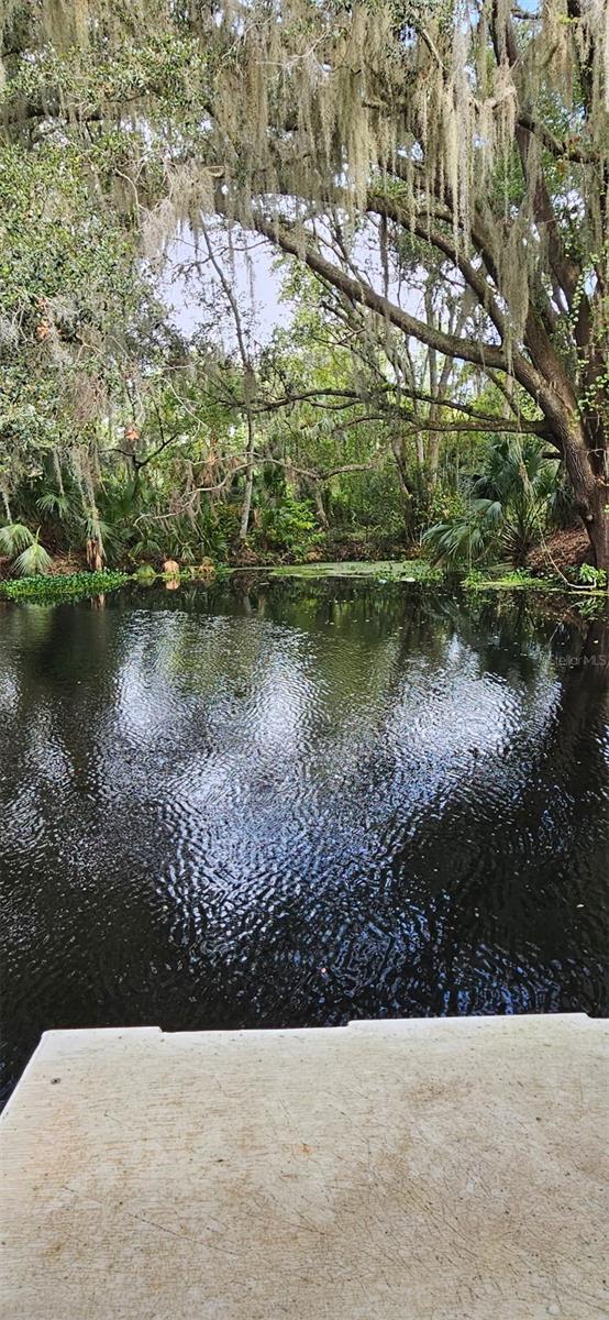 Image 41 of 43 For 4219 Magnolia Avenue