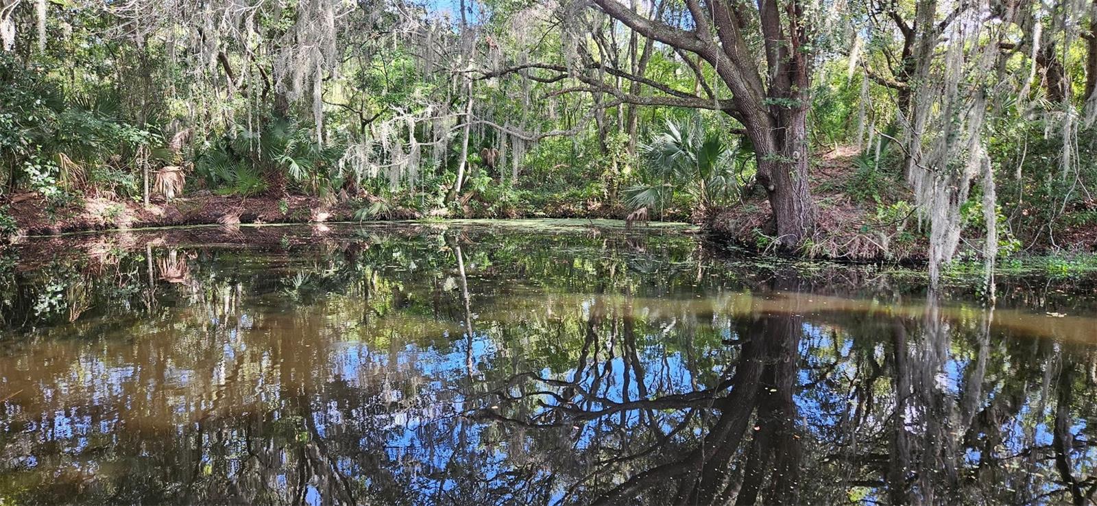 Image 48 of 50 For 4219 Magnolia Avenue