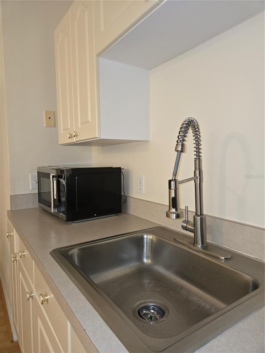 Image 10 of 12 For 223 Washington Palm Loop B