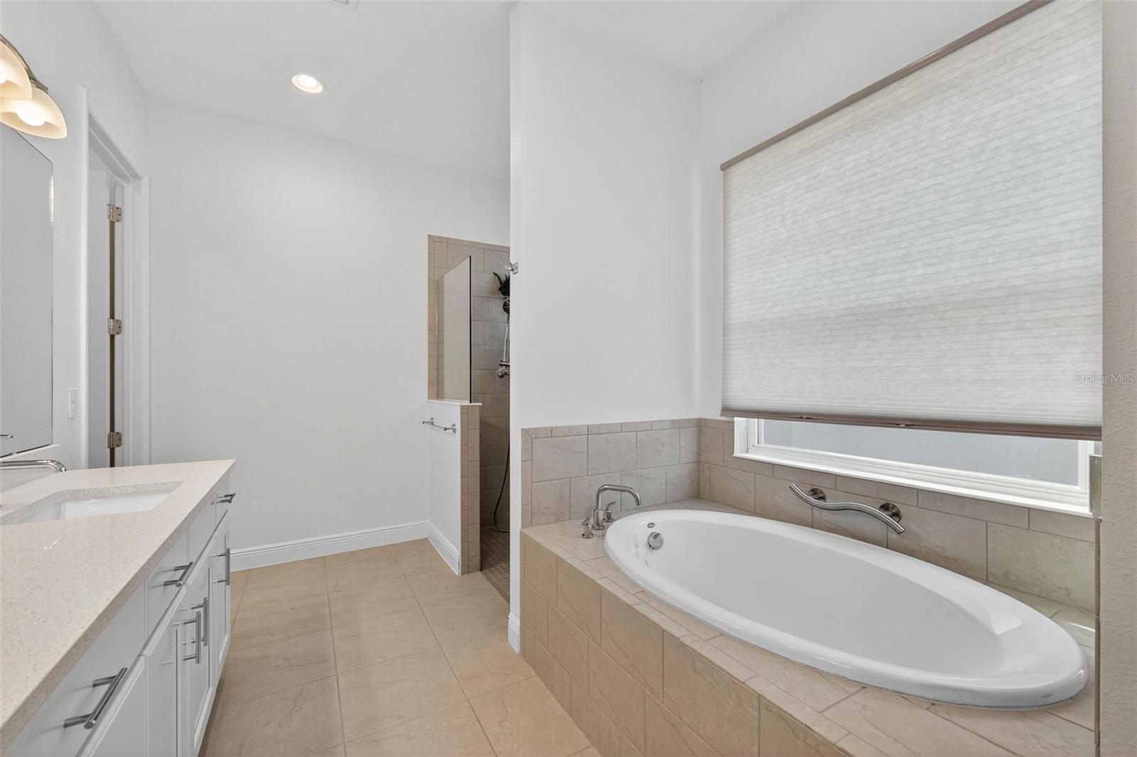 Image 43 of 90 For 8677 Bridgeport Bay Circle