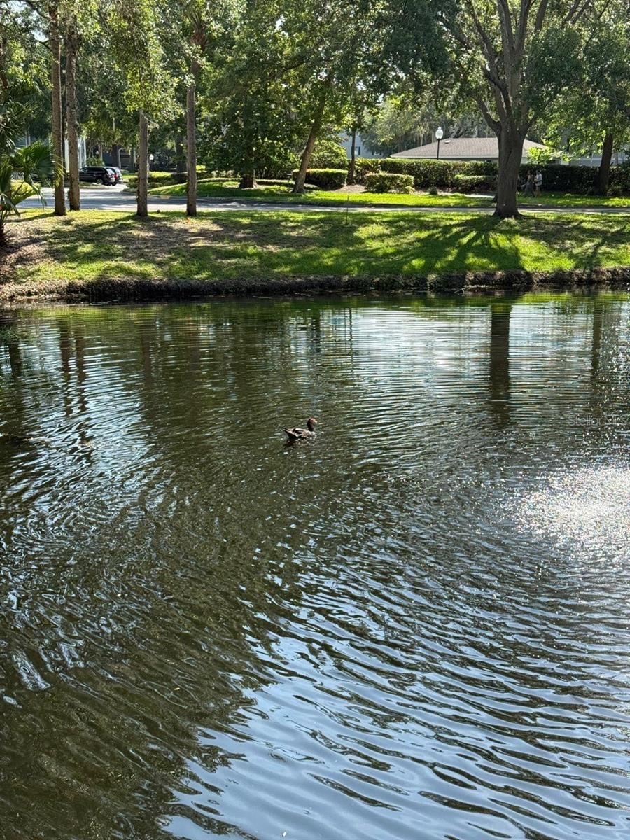 Image 33 of 33 For 494 Pin Oak Place 206