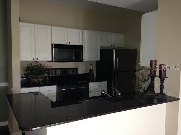 Image 5 of 25 For 14316 Fredricksburg Drive 518