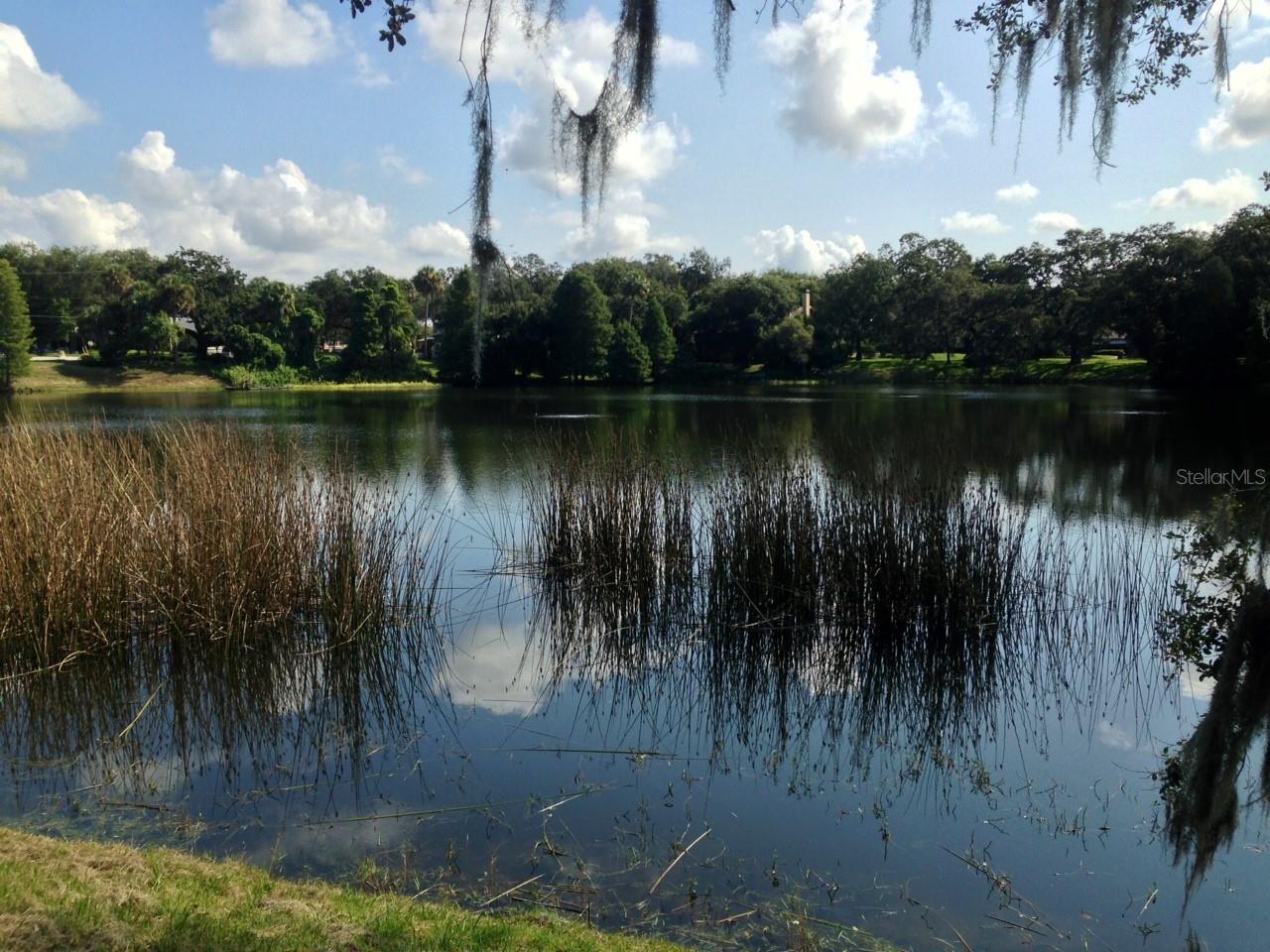 Image 23 of 26 For 120 Thornton Avenue