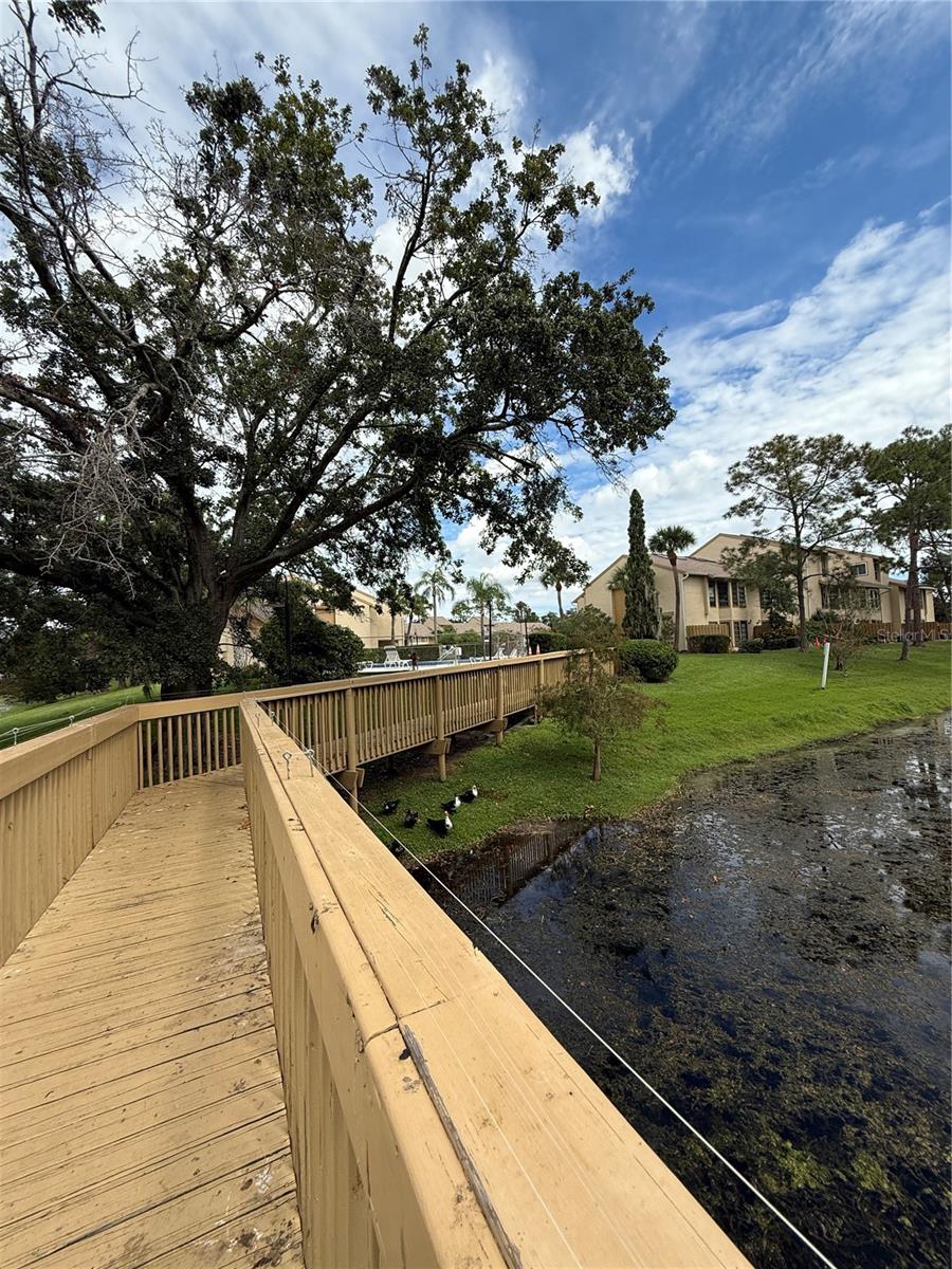 Image 24 of 50 For 4320 Middlebrook Road 2