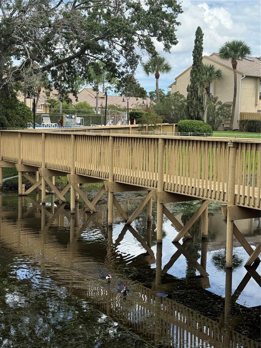 Image 26 of 50 For 4320 Middlebrook Road 2