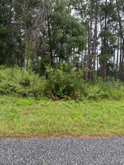 Details for 1476 6th Avenue, DELAND, FL 32724