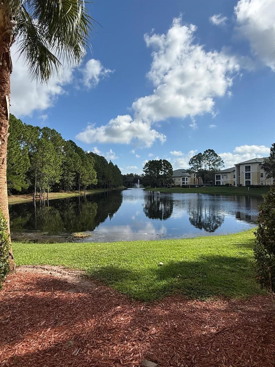 Image 26 of 26 For 8917 Legacy Court 207