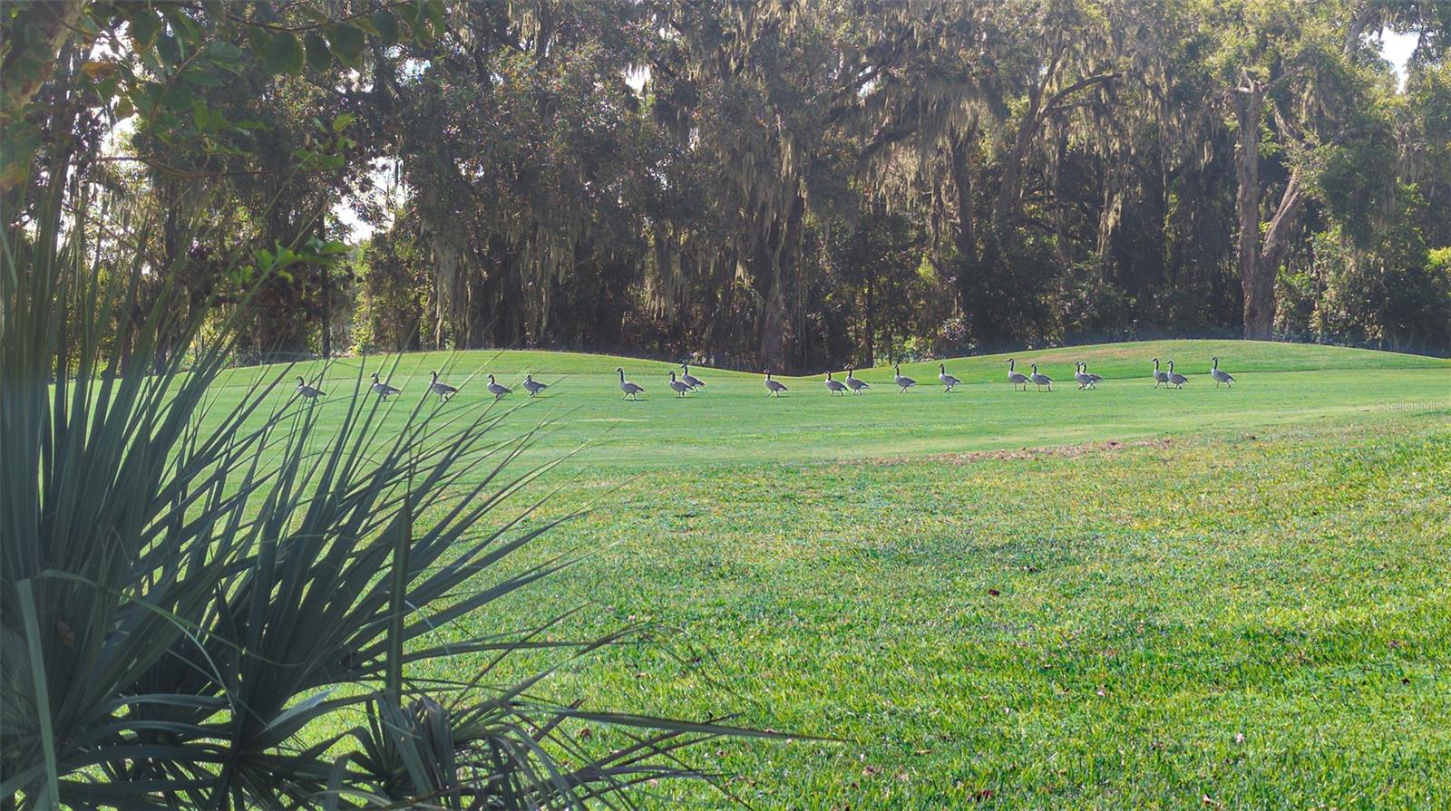 Image 34 of 36 For 5064 18th Street