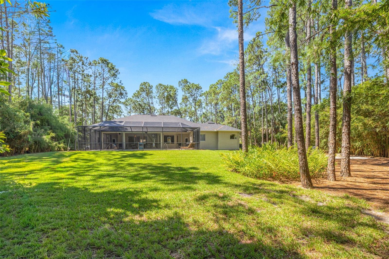 Image 40 of 56 For 312 Pine Bluff Drive