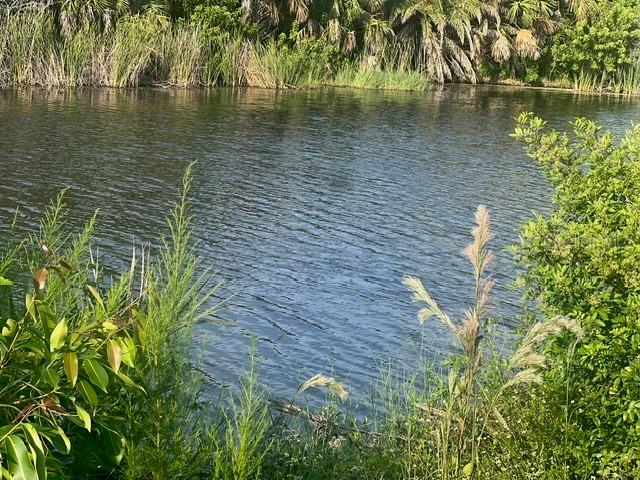 Image 33 of 43 For 1266 Lincoln Drive