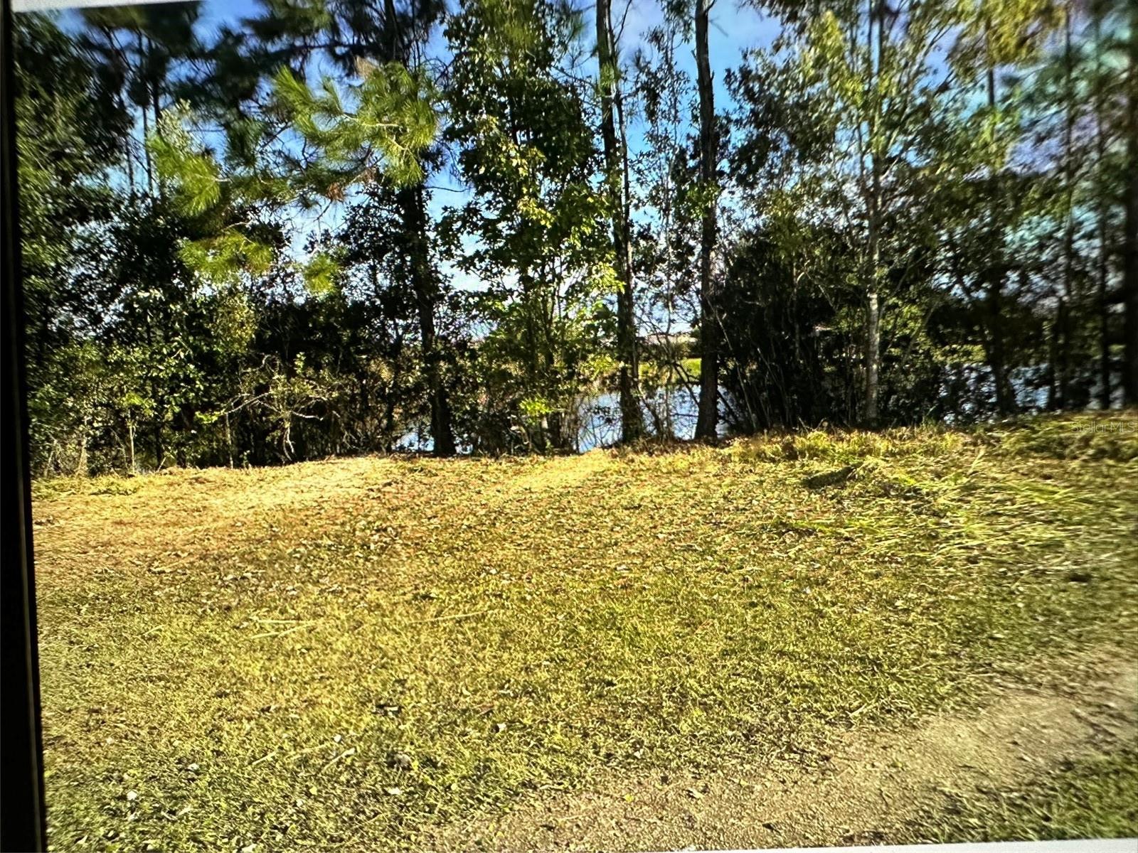 Image 4 of 10 For 2845 Old Hickory Tree Road