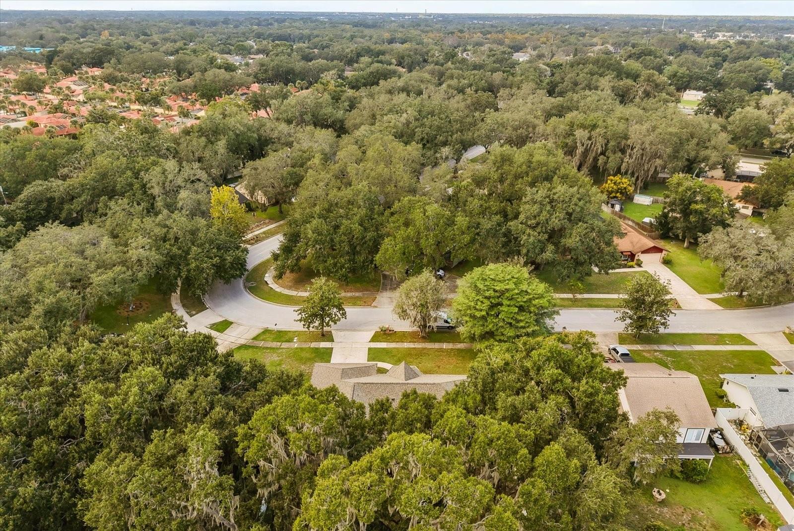Image 33 of 34 For 4906 Briar Oaks Circle