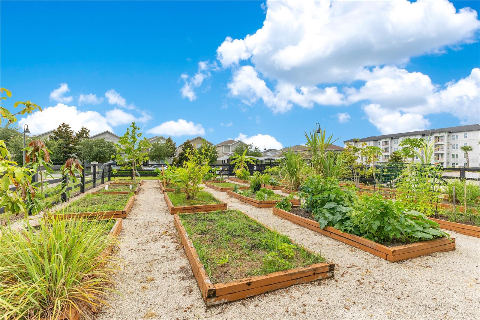 Image 43 of 45 For 11865 Ginsberg Place