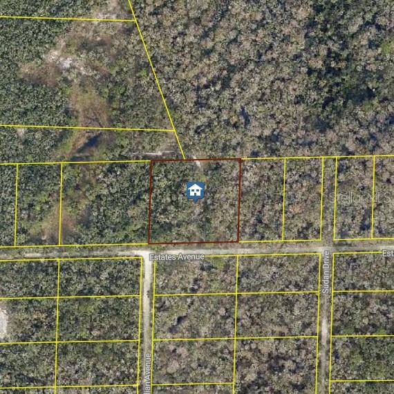 Listing Details for Rose Bloom Ave, WEBSTER, FL 33597