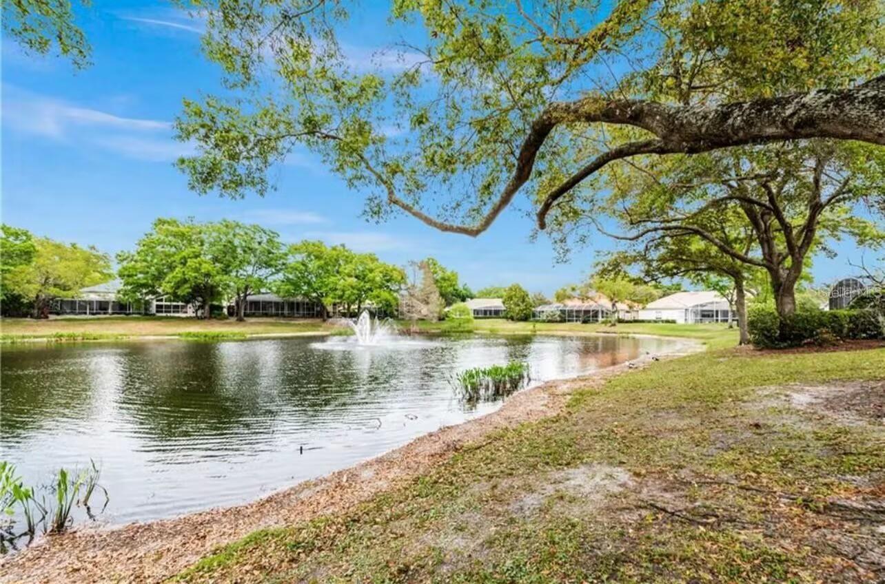 Image 44 of 45 For 228 Promenade Circle