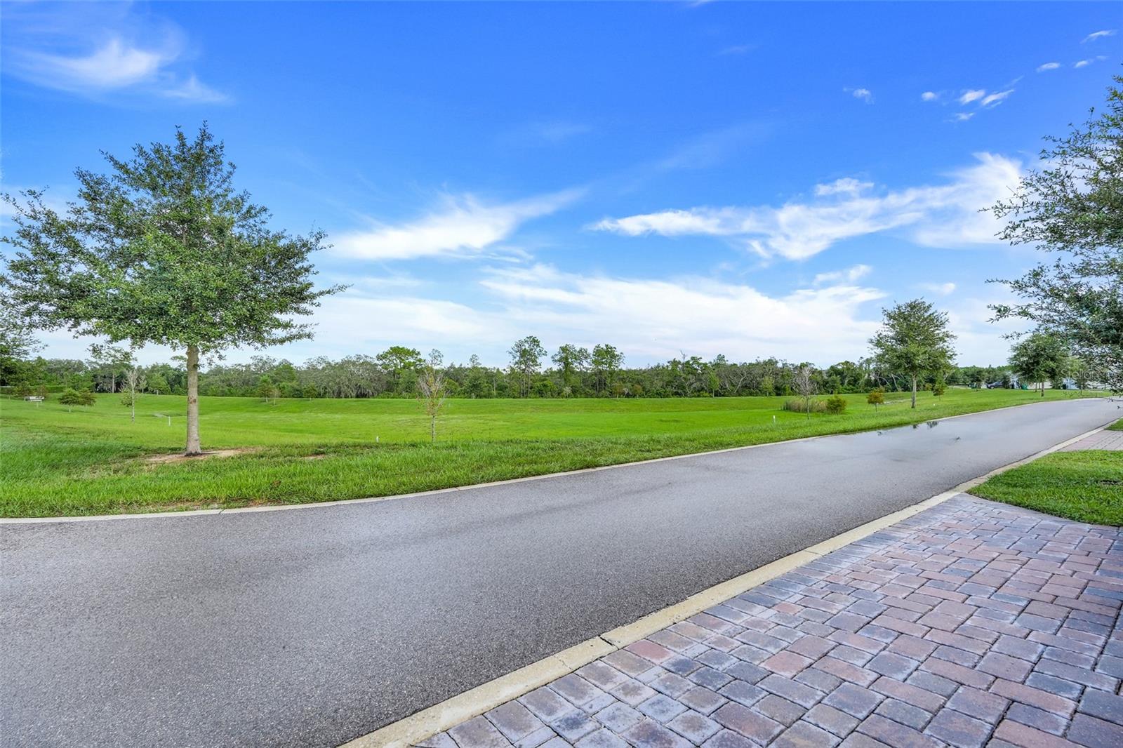 Image 42 of 57 For 1413 Viscaya Cove Boulevard