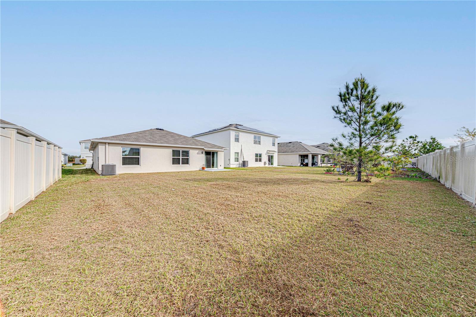 Image 31 of 34 For 34026 Soaring Bamboo Path