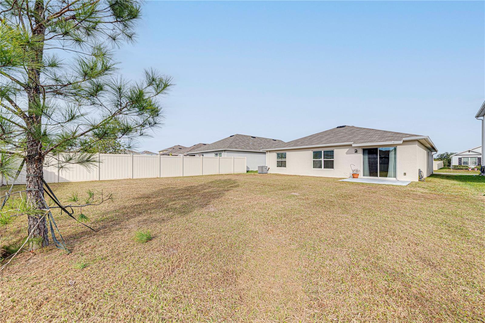 Image 33 of 34 For 34026 Soaring Bamboo Path