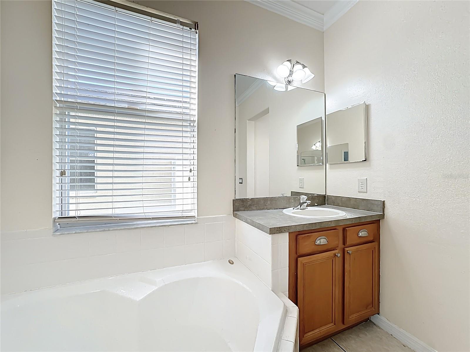 Image 28 of 88 For 9551 Bennington Chase Drive