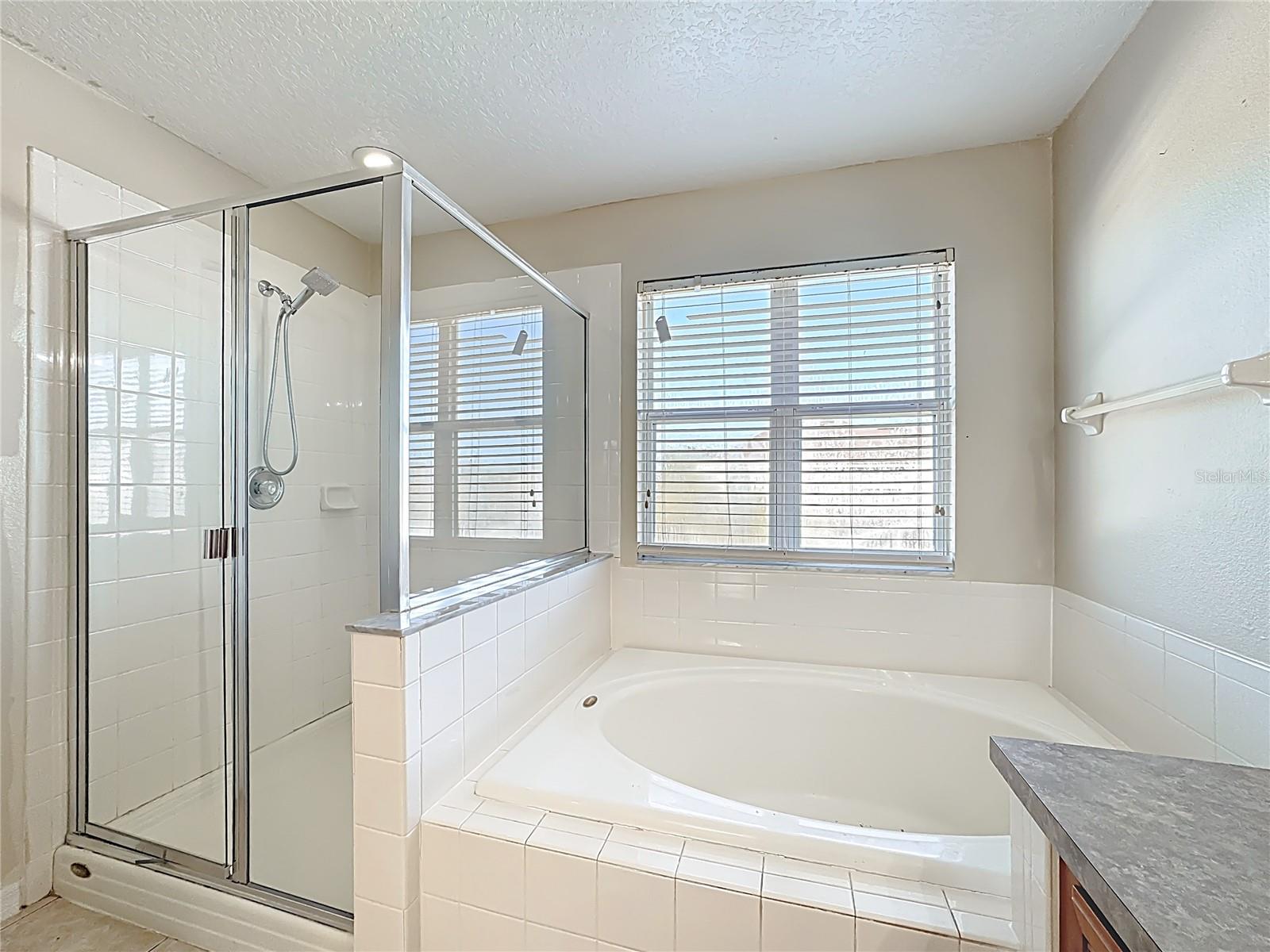 Image 64 of 88 For 9551 Bennington Chase Drive