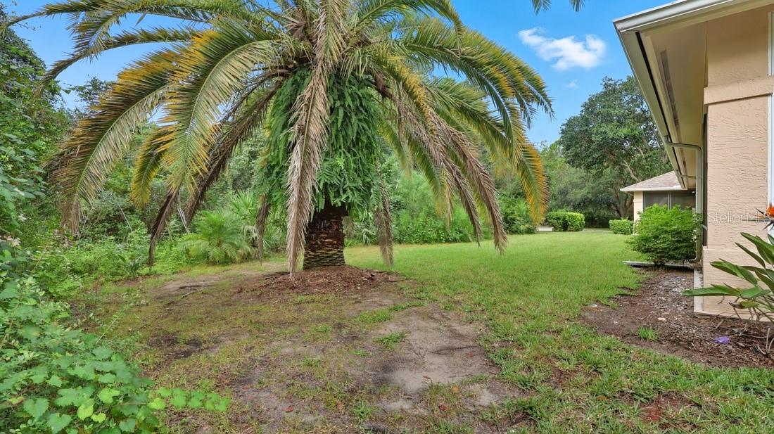 Listing photo id 19 for 6 Gaston Place