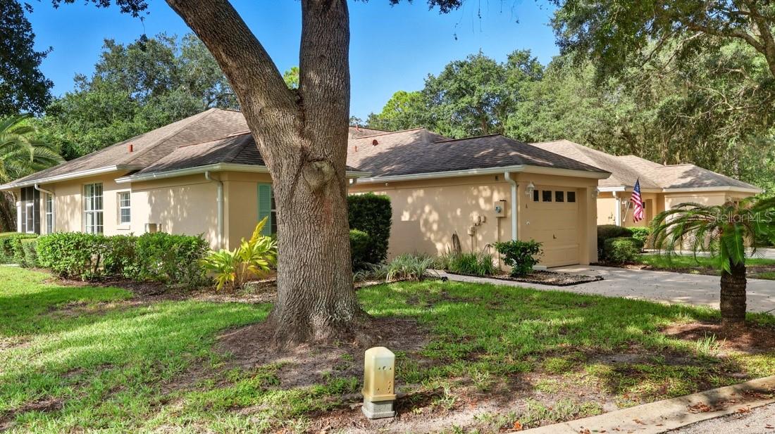 Listing photo id 1 for 6 Gaston Place