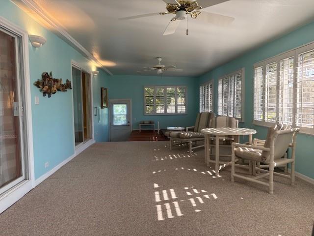 Image 18 of 69 For 1894 Elizabeth Lane