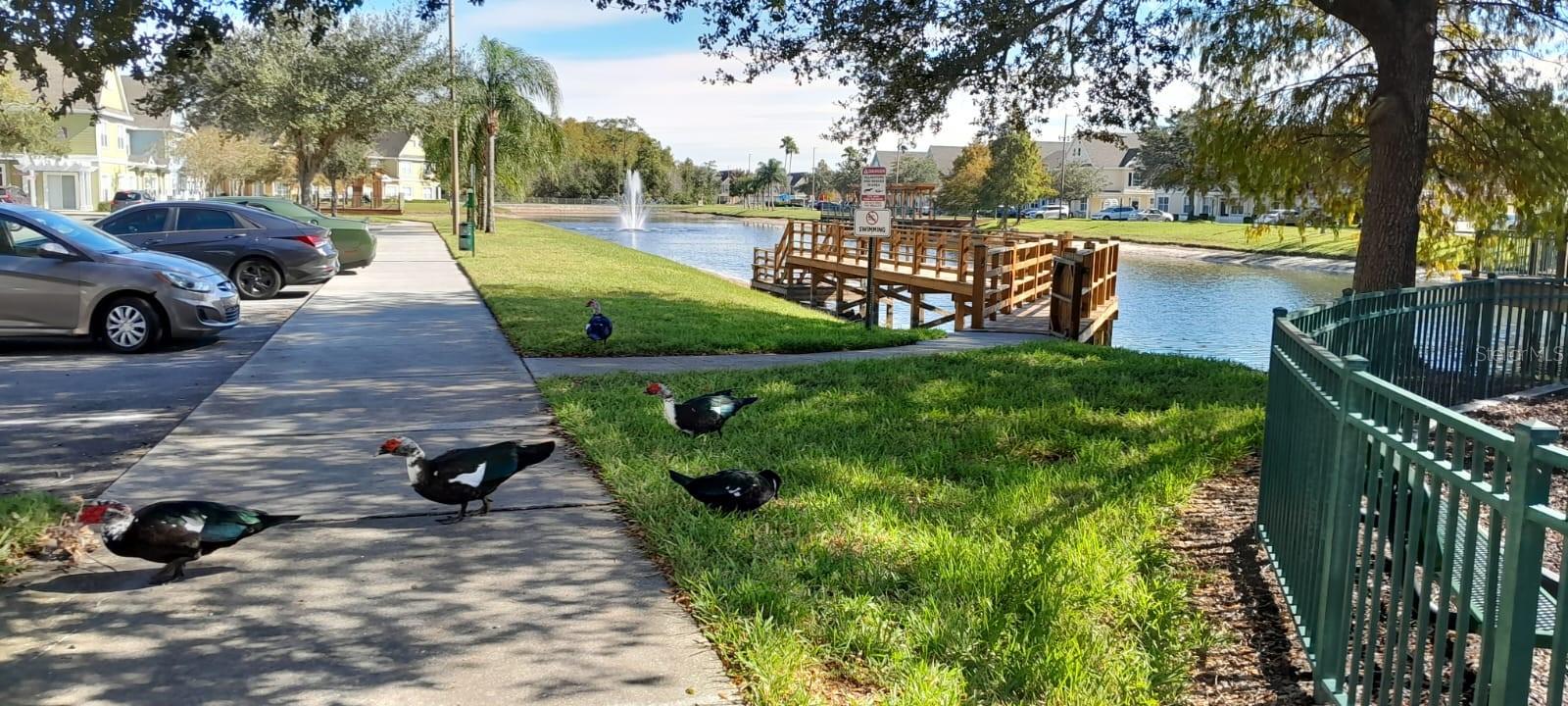 Image 14 of 18 For 2270 San Vital Drive 107