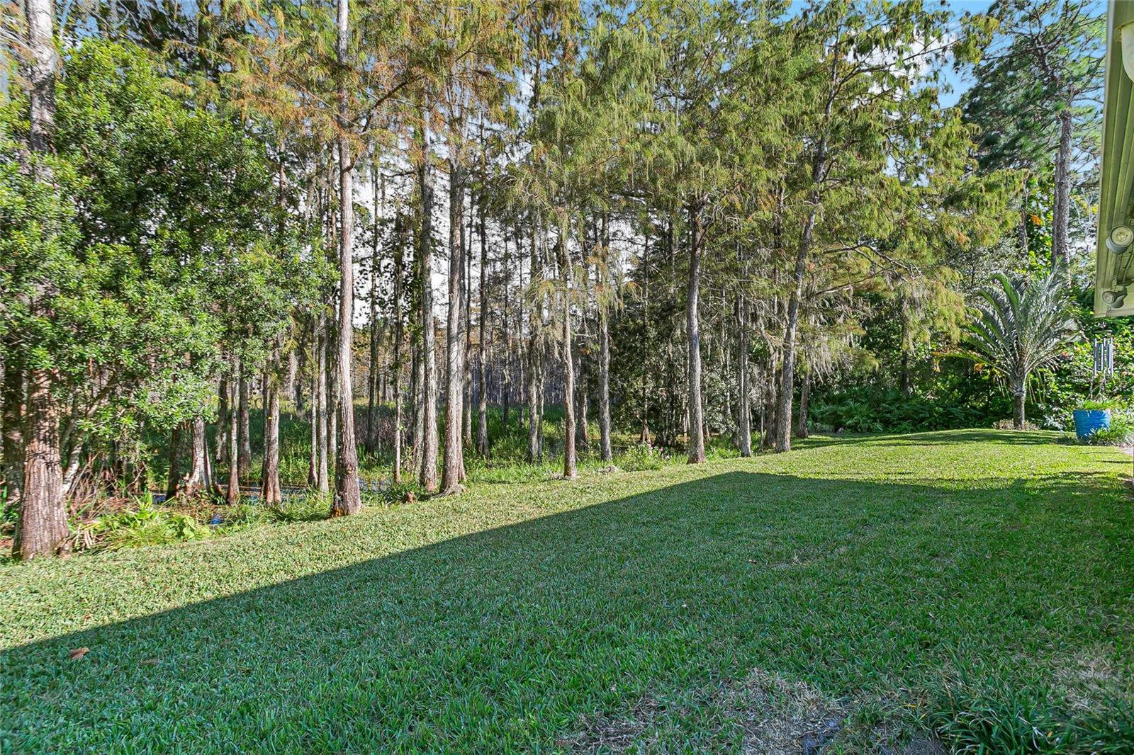 Image 29 of 36 For 13807 Forestside Court