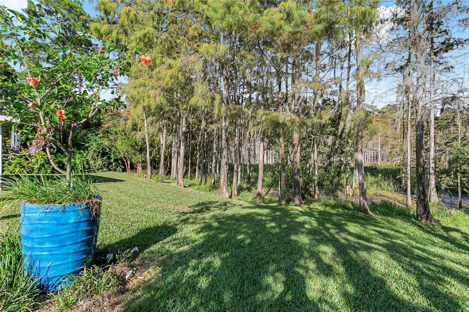 Image 30 of 36 For 13807 Forestside Court