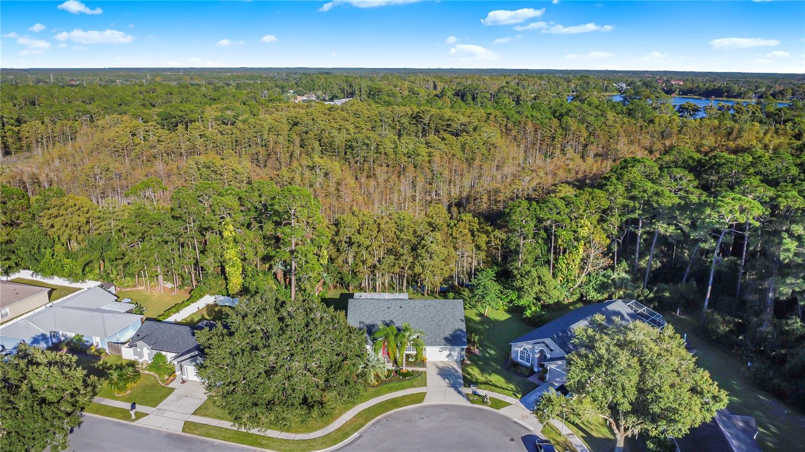 Image 31 of 36 For 13807 Forestside Court