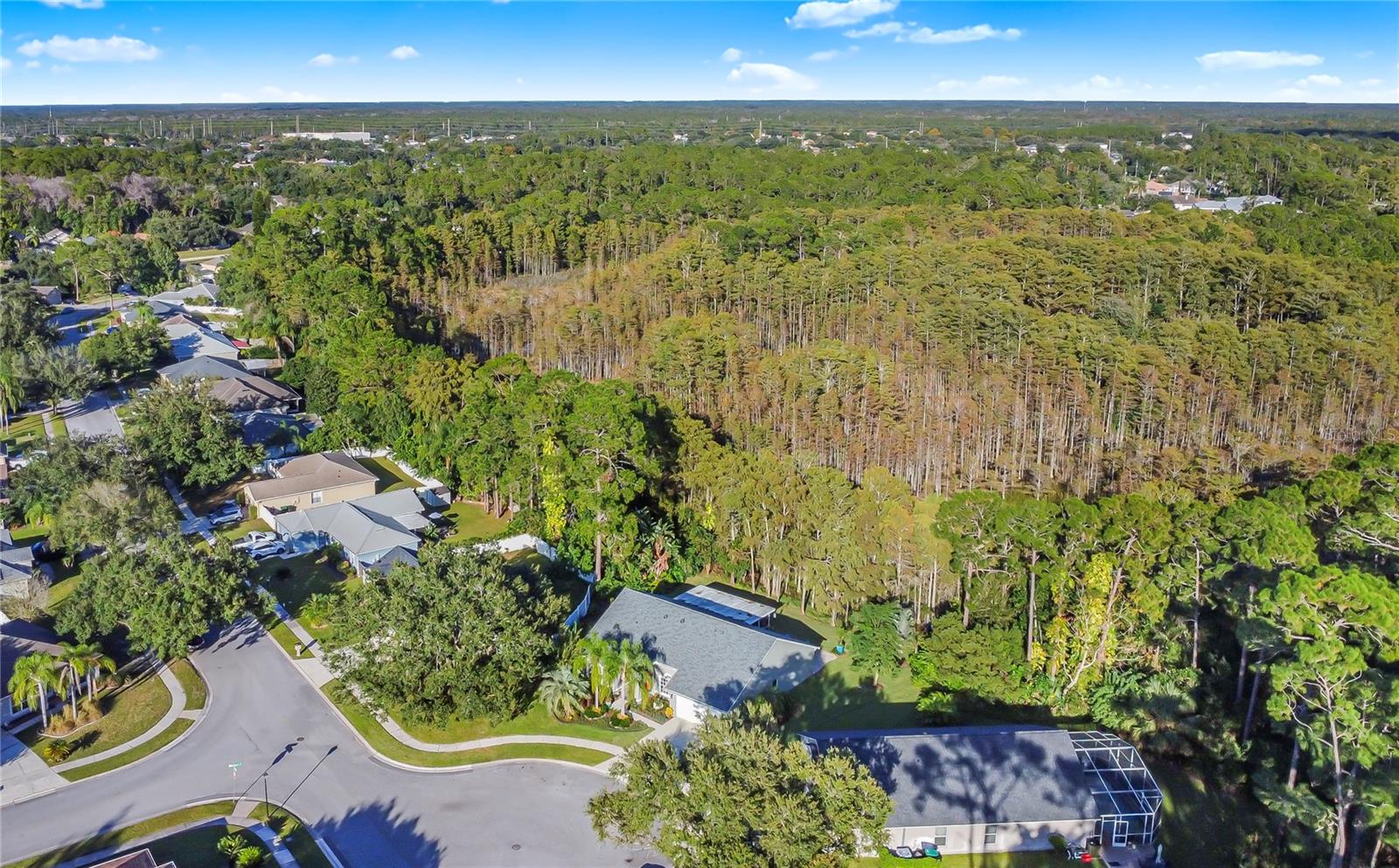 Image 33 of 36 For 13807 Forestside Court