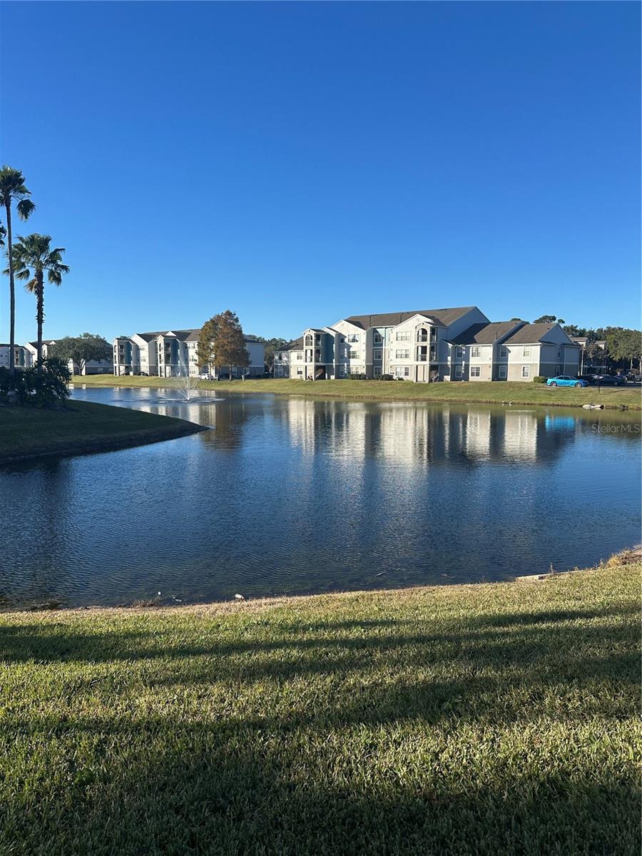 Image 54 of 63 For 2208 Antigua Place 924