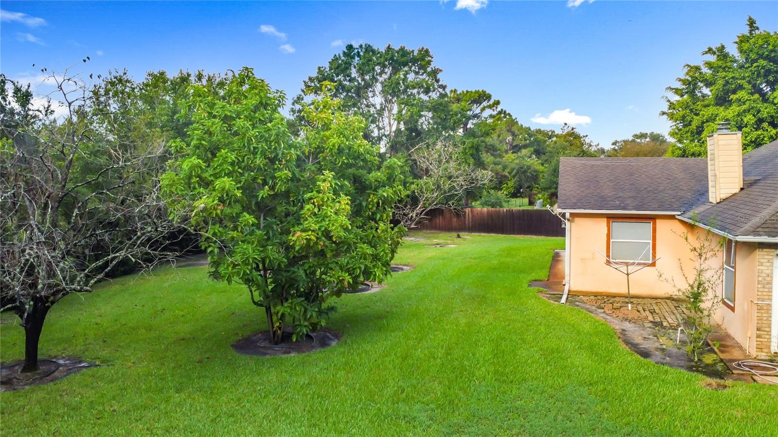 Image 24 of 34 For 1445 Beechwood Drive