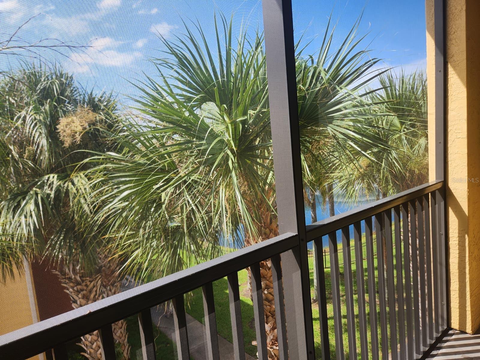 Image 11 of 23 For 10873 Windsor Walk Drive 4302