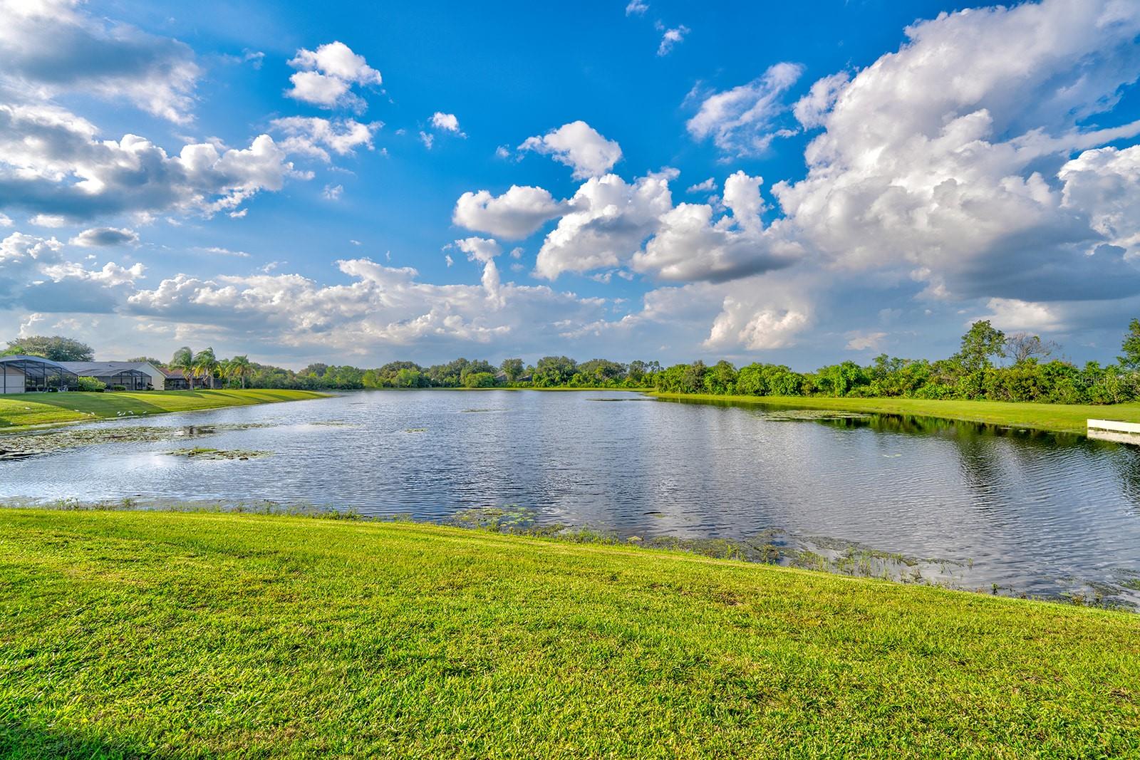 Image 69 of 92 For 3429 Swallow Hill Street