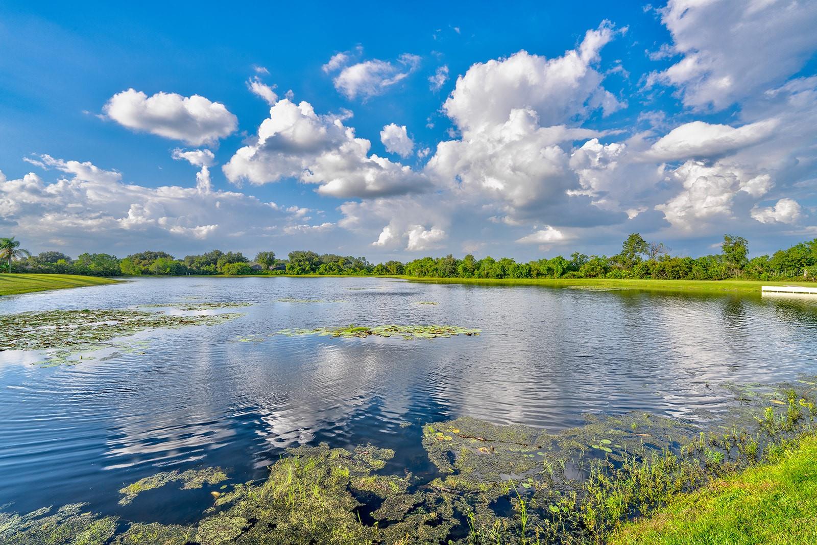 Image 71 of 92 For 3429 Swallow Hill Street