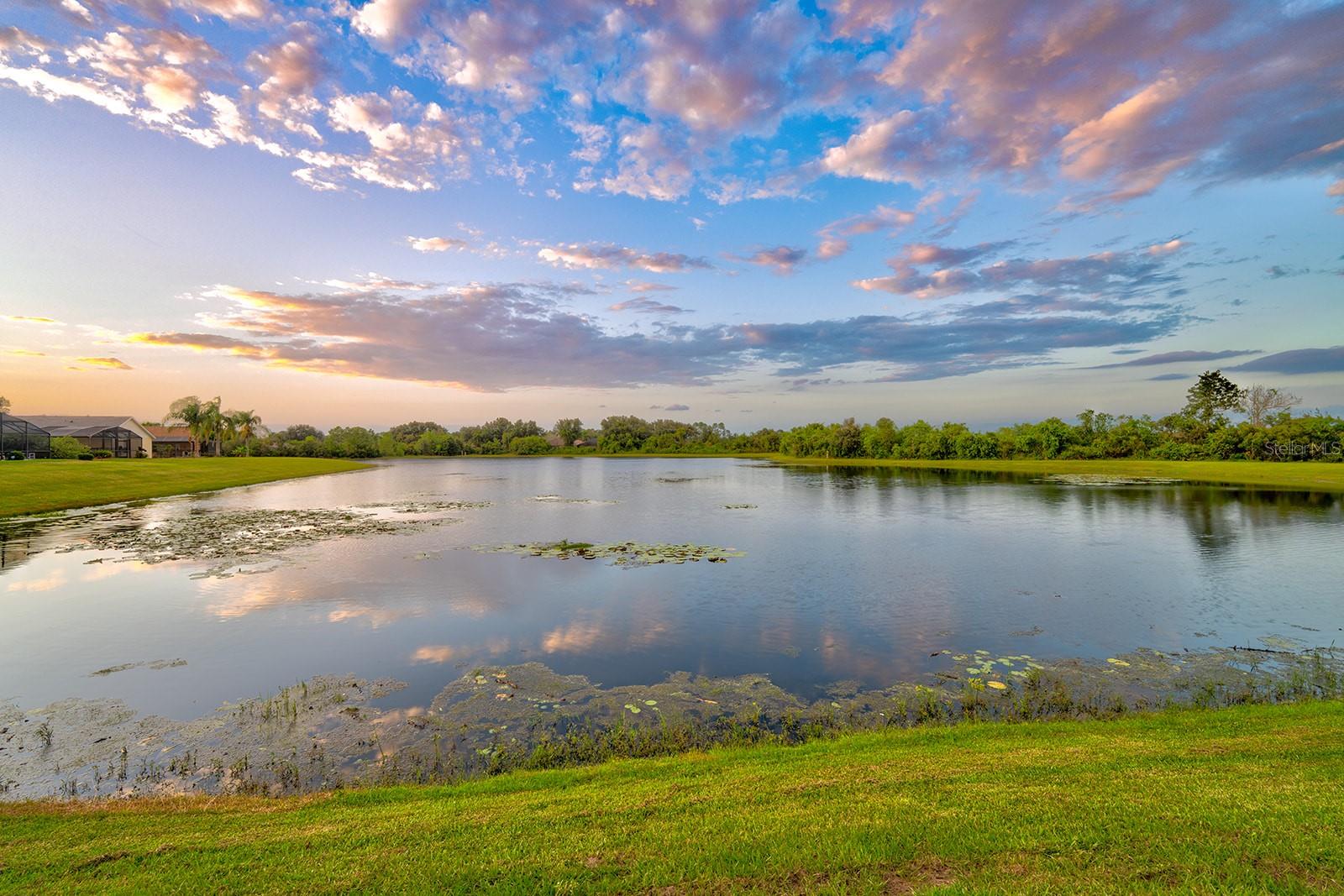 Image 72 of 92 For 3429 Swallow Hill Street