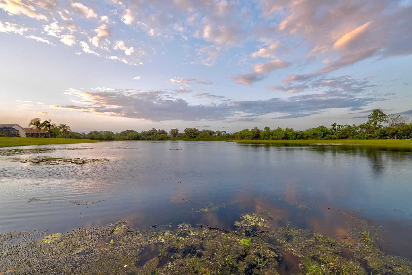 Image 76 of 92 For 3429 Swallow Hill Street