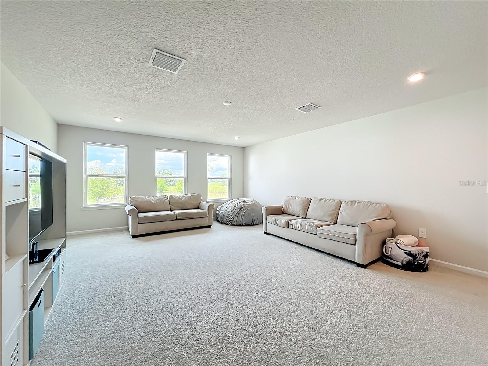 Image 42 of 85 For 3785 Blue Mountain Way