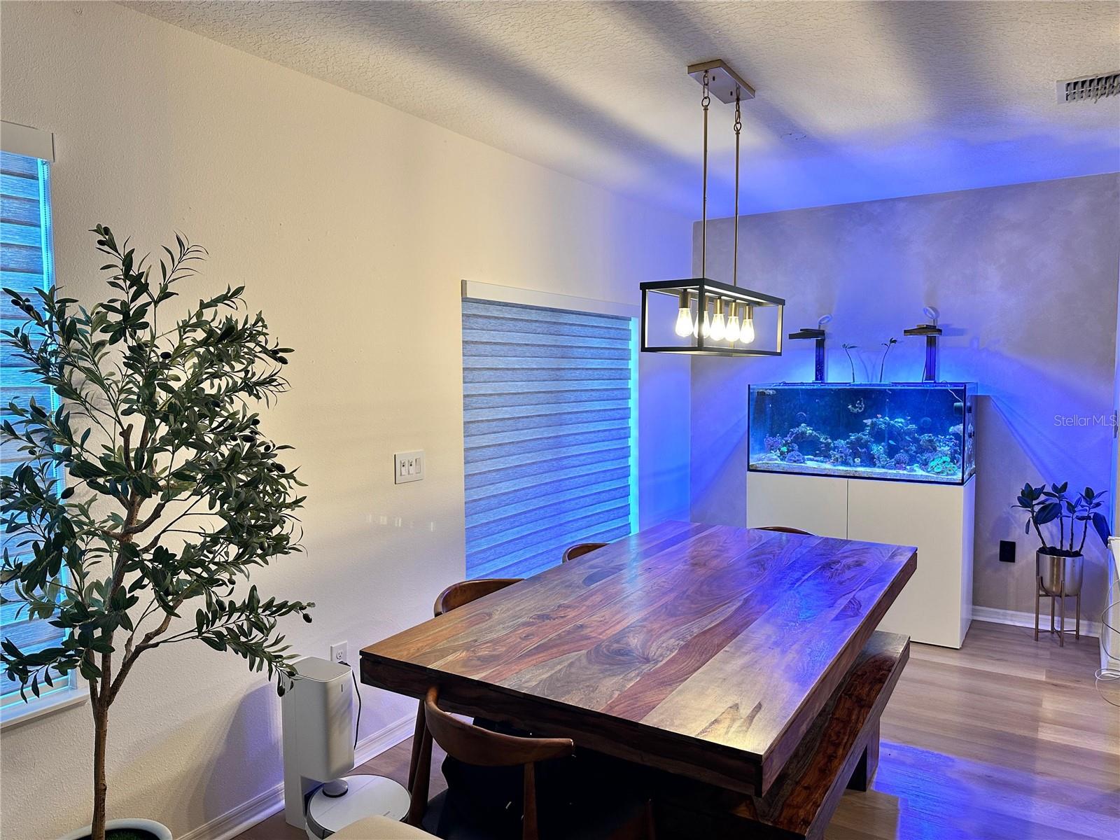 Image 5 of 13 For 830 Bocavista Court