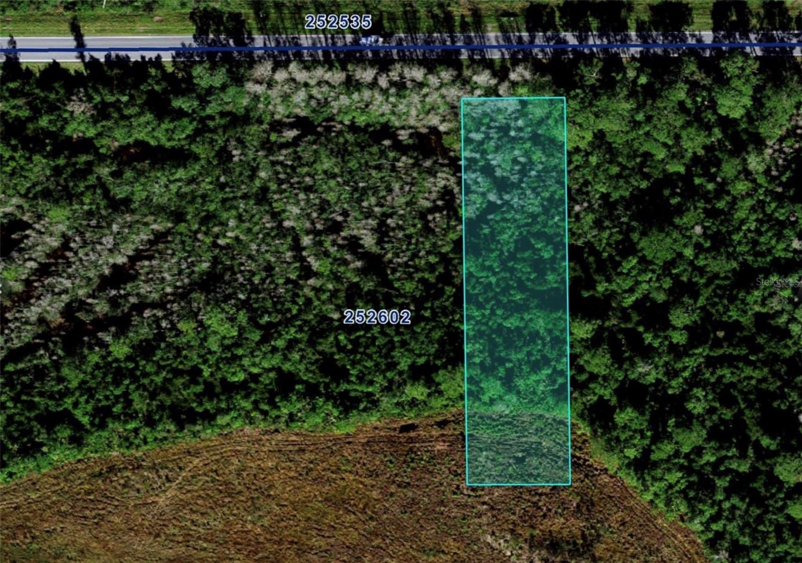 Details for Deen Still Road E, POLK CITY, FL 33868