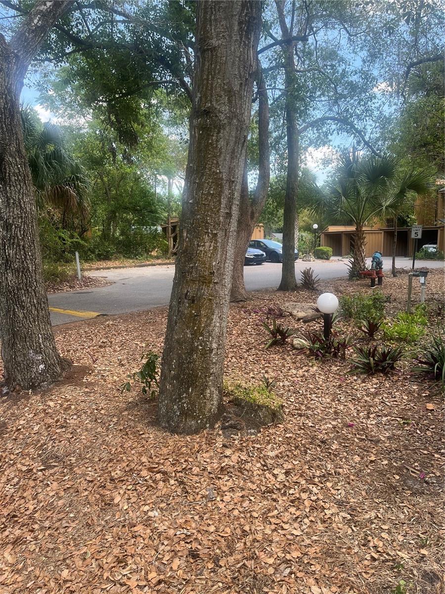 Image 34 of 91 For 112 Crown Oaks Way 112