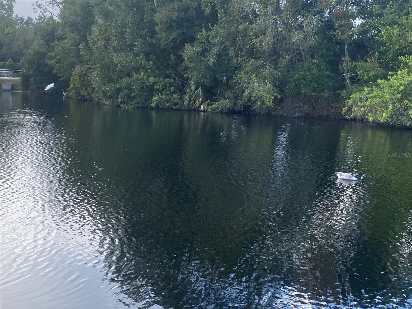 Image 26 of 38 For 4400 Castlepalm Road