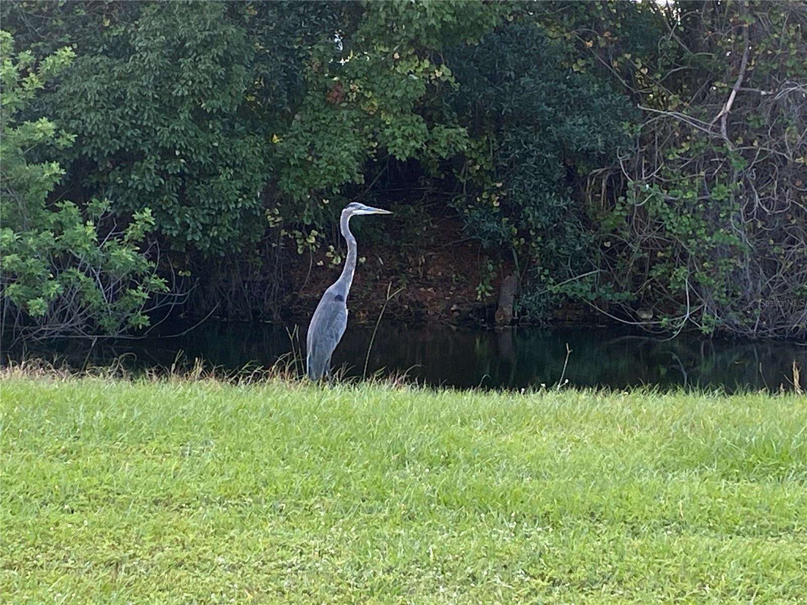 Image 36 of 38 For 4400 Castlepalm Road