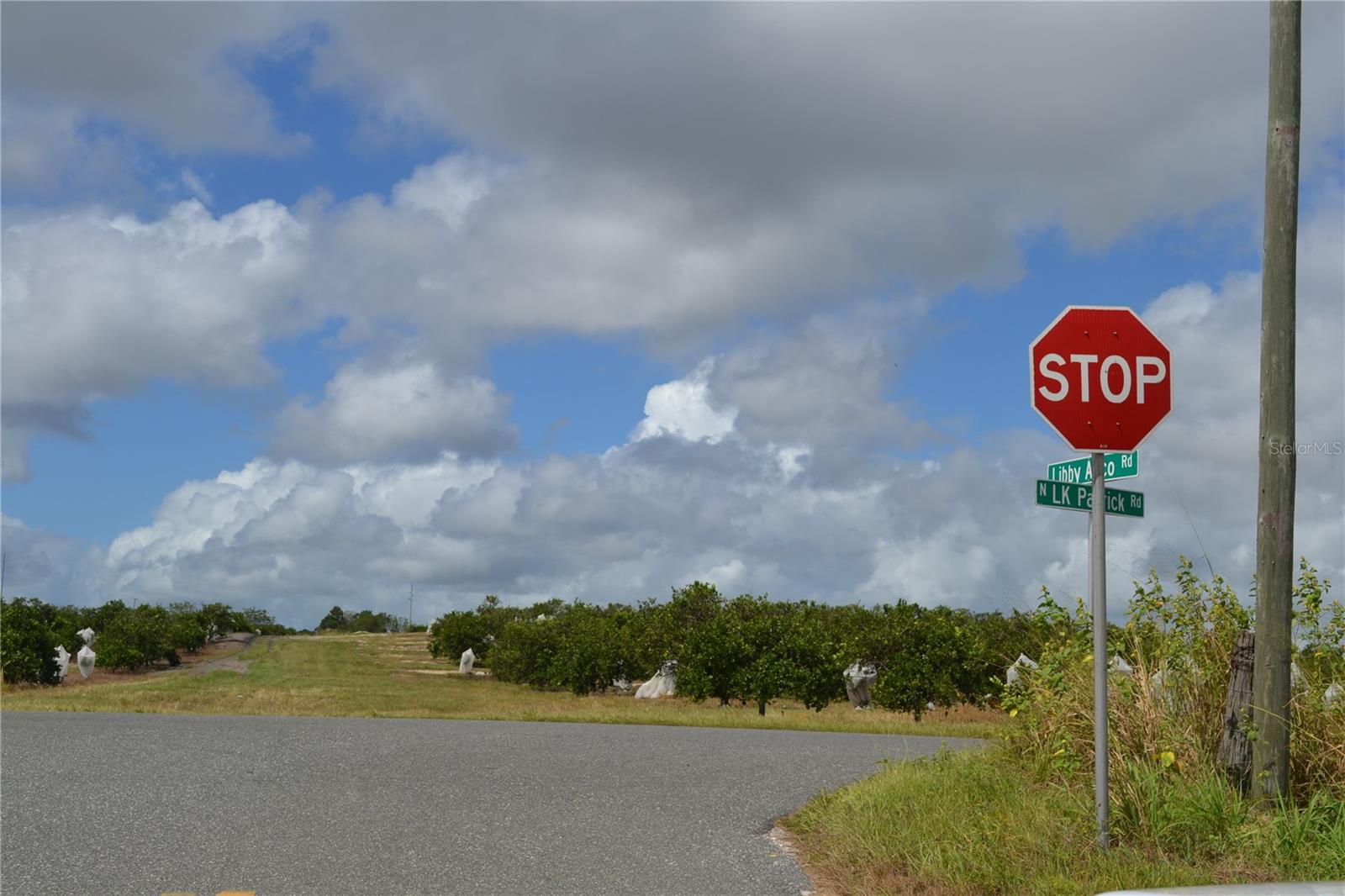 Details for Lake Patrick Road N, BABSON PARK, FL 33827